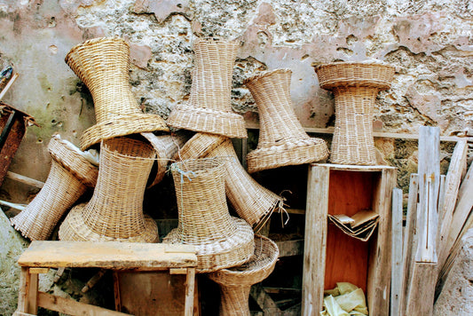 The Origins of Rattan: From Nature to Sustainable Craftsmanship